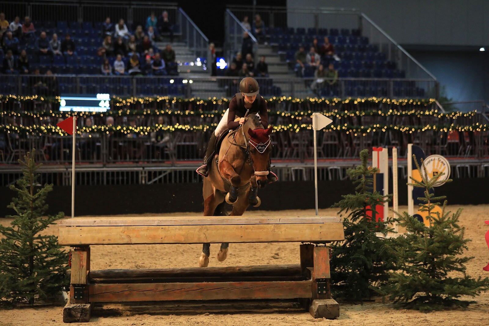 Marie-Luisa-Wolf-auf-Triumph